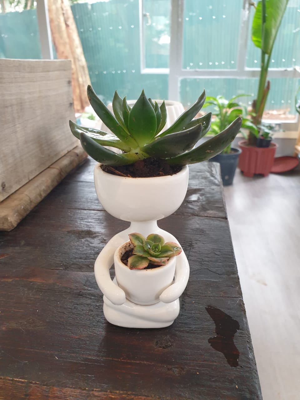 Humanoids | Order Online Now | Planty Kenya