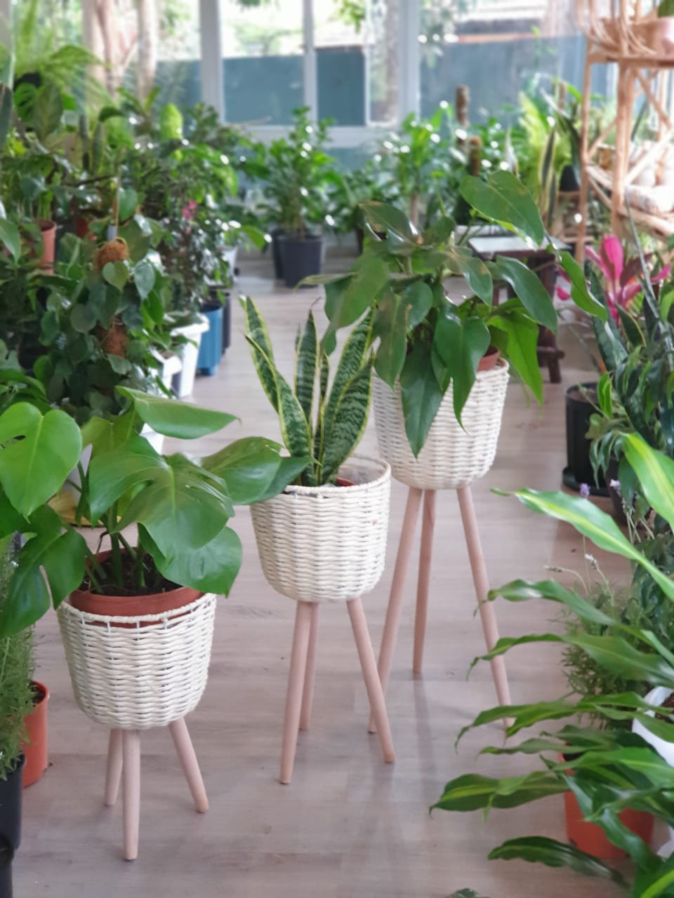 Rattan Stand | Order Online Now | Planty Kenya